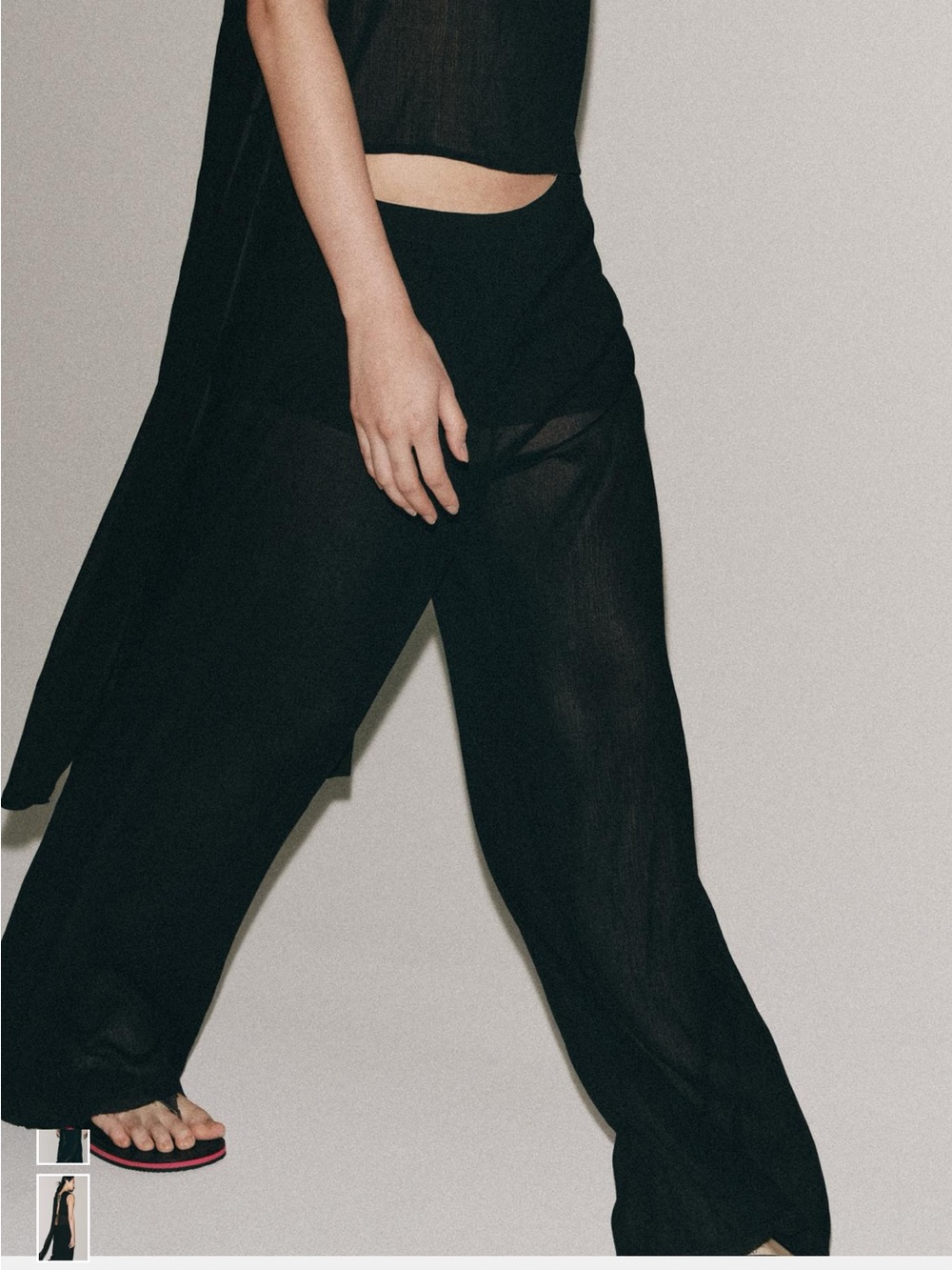 Zara Black Wide-Leg Sheer Pants